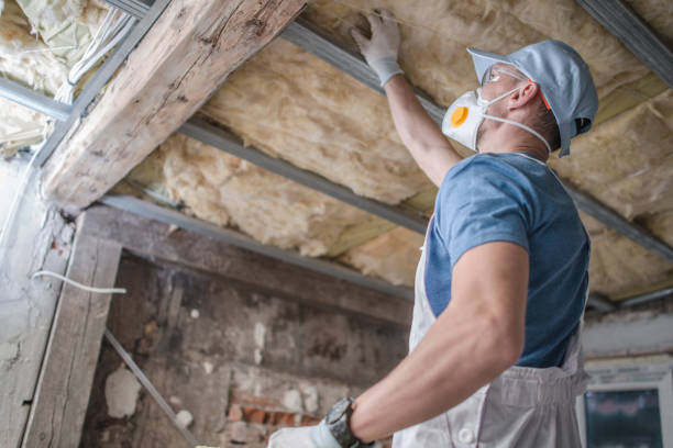 Best Insulation Installation Services in Stillwater, MN